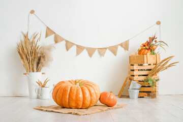 Children's autumn photo zone with pumpkins and dry spikelets