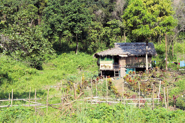 Traditional house of peasants in rural Philippines.