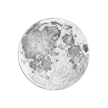 Full Moon Sketch Images  Browse 49745 Stock Photos Vectors and Video   Adobe Stock