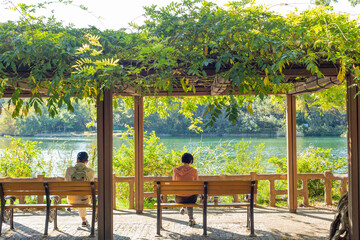 two persons sitting on a bench in front of lake in inokashira park, tokyo, japan