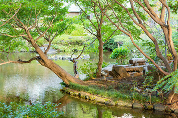 scenery of red colored traditional bridge and japanese garden in tokyo, japan