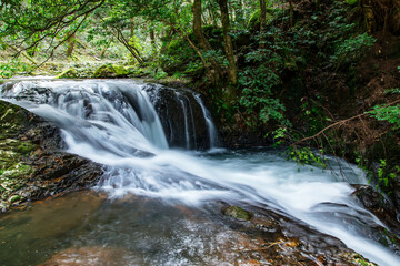 渓谷の美しい水の流れ (八重滝 / 島根県)