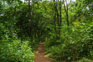 Obraz premium Asurankund dam
