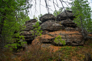 
Stone mountains. 
Stone texture. Mountain gorge. Among the huge rocky mountains there is a mountain river, the mountains are covered with fresh bright green foliage of trees in early spring.

