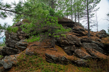 
Stone mountains. 
Stone texture. Mountain gorge. Among the huge rocky mountains there is a mountain river, the mountains are covered with fresh bright green foliage of trees in early spring.
