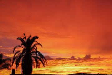 Obraz na płótnie Canvas Majestic fiery orange sunset in San Diego, California on June 29, 2019.
