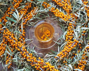 Vitamin healthy herbal sea buckthorn tea in a glass cup surrounded by branches with sea buckthorn on a wooden table.Sea buckthorn harvesting season.