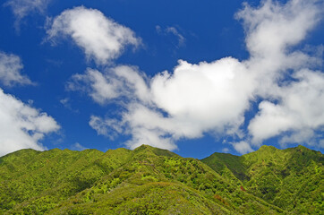 Looking up to the Koolau mountain range on a beautiful blue sky on Oahu, Hawaii