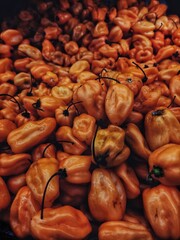 chiles habaneros manzanos