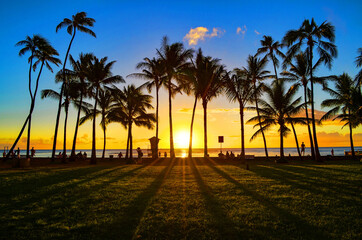 Summer sunset on world famous Waikiki beach with palm trees in Honolulu on the island Oahu, Hawaii.
