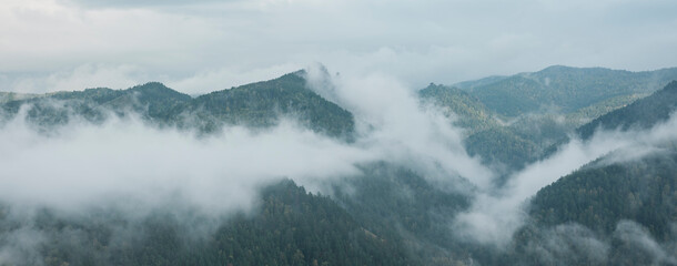 Panorama of mountains in autumn. Fog on the slopes and in the mountain valley. Green coniferous forest with yellow tints.