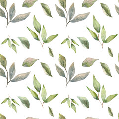 Watercolor illustration. Seamless pattern on a white background with greenery elements. Seamless design for fabric, paper, printing, etc.