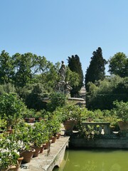 Fototapeta premium Tour of the great Florence