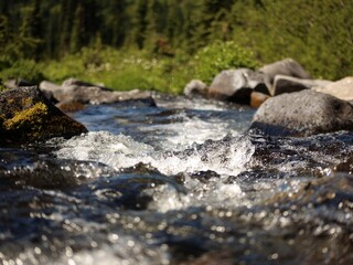Mountain Stream