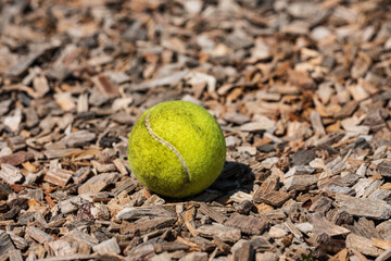 Close-up of a soiled yellow tennis ball on a layer of wood chips