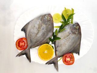 Black pomfret fishes arranged on a white plate, decorated with lemon slice, tomato and curry leaves .isolated on white background,Selective focus.