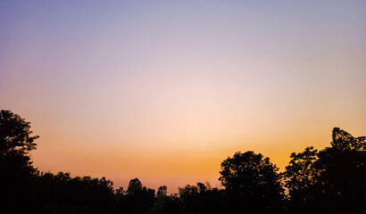 Obraz na płótnie Canvas sunset in the forest