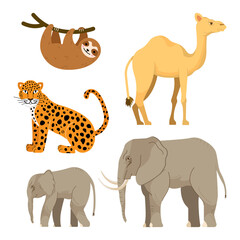 jungle and desert animals set