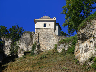 Fototapeta premium Ruins of the castle in Ojcow - Ojcow National Park, Poland
