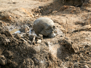 Human remains at an archaeological site of a World War II mass grave