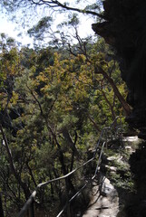 Fototapeta premium Sunny and green winter Leura street views in the Blue Mountains region in Australia