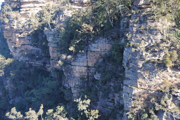 Sunny and green winter Leura street views in the Blue Mountains region in Australia