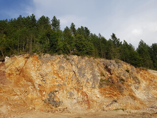 A stone hill of ocher rock, and on a thin earthen surface grows a dense forest of conifers
