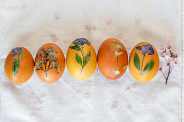 Elevated view of decorated Easter eggs 
