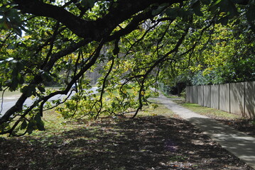 The Wentworth Falls town street in the Blue Mountains national park, Australia