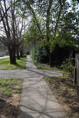 The Wentworth Falls town street in the Blue Mountains national park, Australia