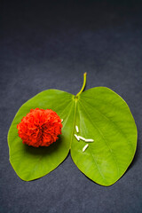 Indian festival dussehra , green leaf, rice and flowers