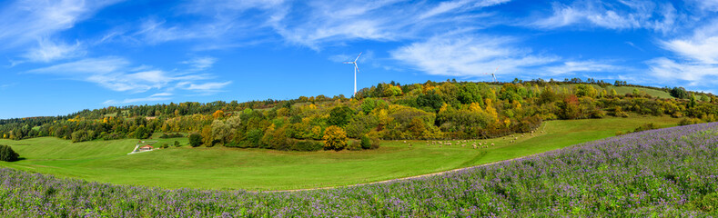 Herbstliche Idylle im ländlichen Mittelfranken nahe Weißenburg mit Windkraftanlage