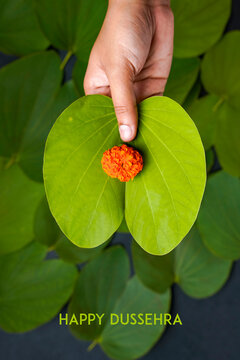 Indian festival Dussehra, green apta leaf in hand