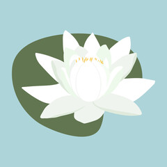 Vector illustration with a white water lily.