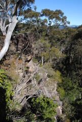 The landscape view of the fields in the Blue Mountains on the sunny day