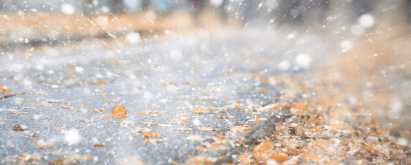 Background autumn park in the first snow