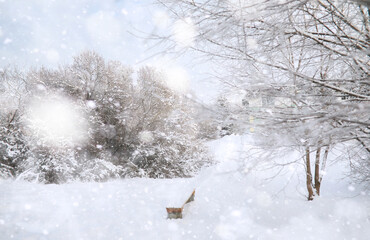 Winter Park. Landscape in snowy weather. January.