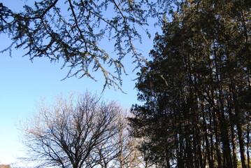 The landscape view of the fields in the Blue Mountains on the sunny day