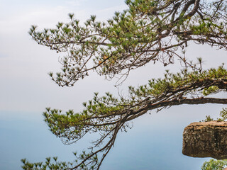 Beautiful scenery view of Lomsak Cliff on Phu Kradueng mountain national park in Loei City Thailand.Phu Kradueng mountain national park the famous Travel destination