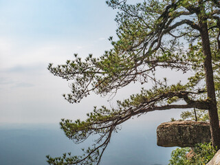 Beautiful scenery view of Lomsak Cliff on Phu Kradueng mountain national park in Loei City Thailand.Phu Kradueng mountain national park the famous Travel destination