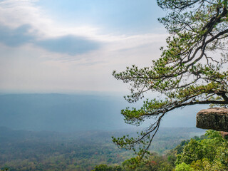 Obraz na płótnie Canvas Beautiful scenery view of Lomsak Cliff on Phu Kradueng mountain national park in Loei City Thailand.Phu Kradueng mountain national park the famous Travel destination