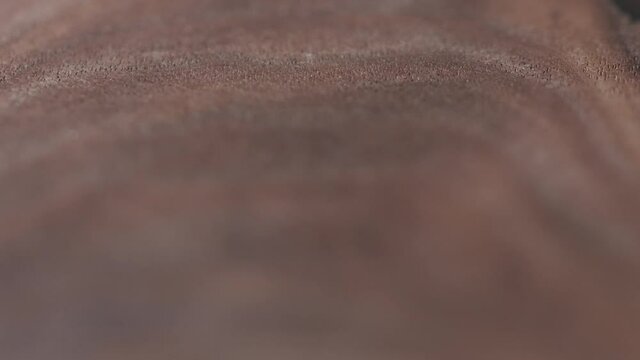 Focus pull of oil finished black walnut wood surface