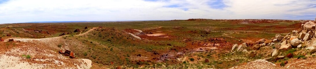 Obraz premium North America, United States, Arizona, Petrified Forest National Park, Giant Logs