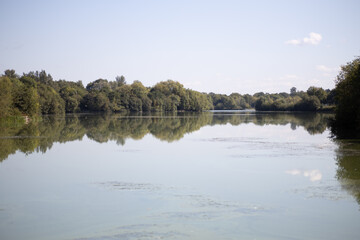 Fototapeta premium reflection of trees in the water