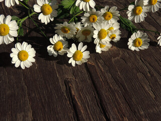 background of old wood at the sides, and white daisies.
