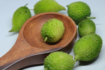 Fresh green colorful spiny gourd or teasel gourd vegetables on white background