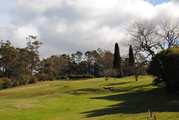 Fototapeta na wymiar The golf course fields without people in Leura, Australia