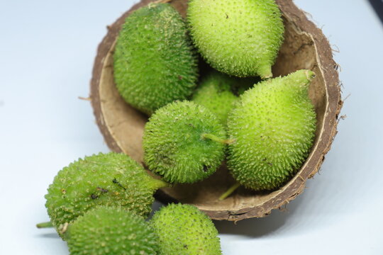 Fresh green colorful spiny gourd or teasel gourd vegetables on white background