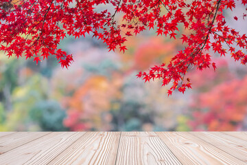 Empty wood table mockup on red maple leaves background in the garden with copy space for text, Mock...
