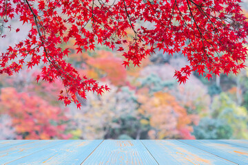 Empty wood table mockup on red maple leaves background in the garden with copy space for text, Mock up for your product display and montage in autumn season, thanksgiving and Halloween holiday concept